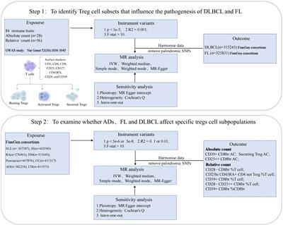 Exploring risk factors for autoimmune diseases complicated by non-hodgkin lymphoma through regulatory T cell immune-related traits: a Mendelian randomization study